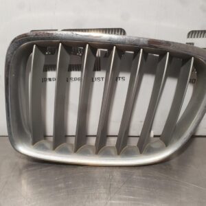 BMW X1 Grille Radiator Grille (LH Side), X Line Type, E84, 51112993307