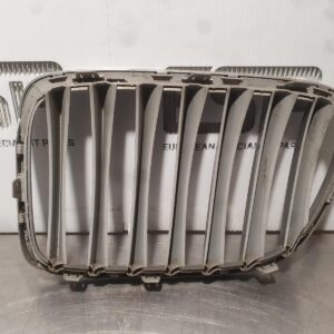 BMW X1 Grille Radiator Grille (RH Side), X Line Type, E84, 51112993307